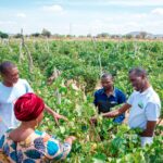 KILIMO CHA ZABIBU CHAWANUFAISHA WAKULIMA DODOMA